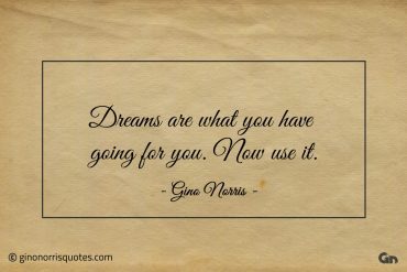 Dreams are what you have going for you ginonorrisquotes