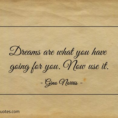 Dreams are what you have going for you ginonorrisquotes