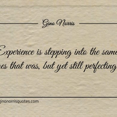 Experience is stepping into the same shoes that was ginonorrisquotes