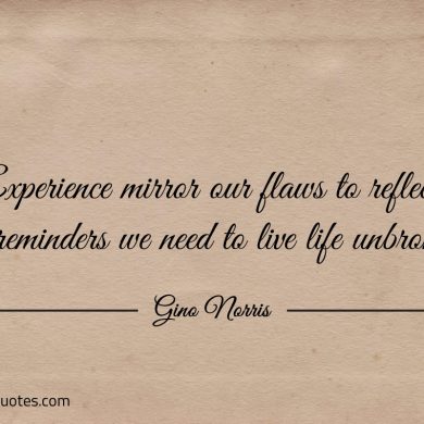 Experience mirror our flaws to reflect the reminders ginonorrisquotes