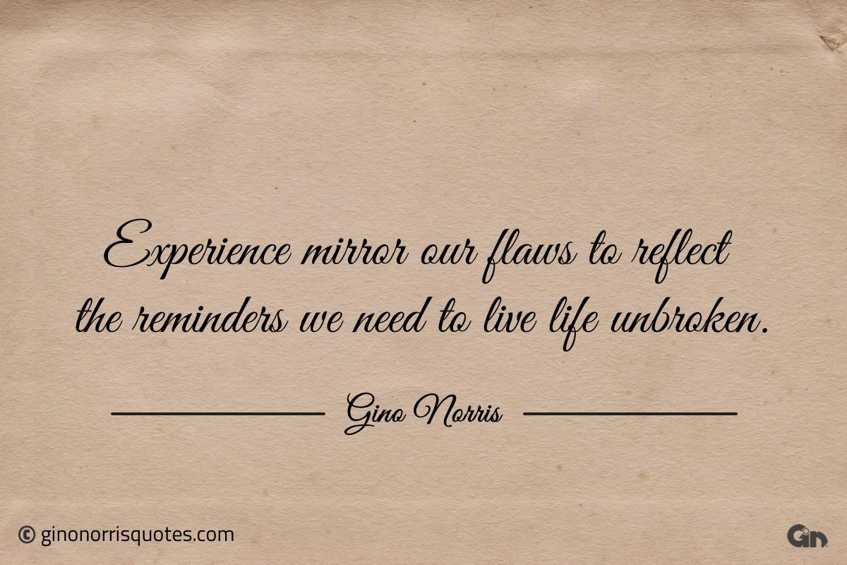 Experience mirror our flaws to reflect the reminders ginonorrisquotes