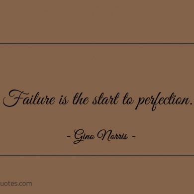 Failure is the start to perfection ginonorrisquotes