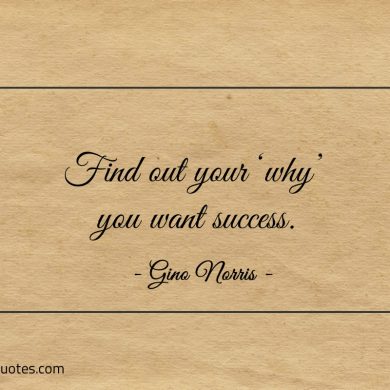 Find out your why you want success ginonorrisquotes