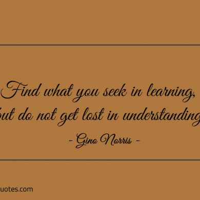 Find what you seek in learning ginonorrisquotes