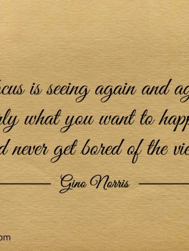 Focus is seeing again and again clearly ginonorrisquotes