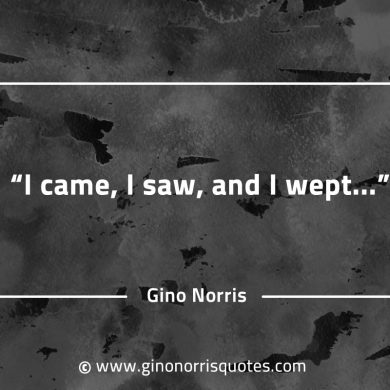 I came I saw and I wept GinoNorrisQuotesINTJQuotes