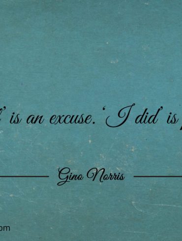 I will is an excuse I did is purpose ginonorrisquotes