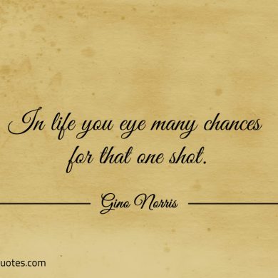 In life you eye many chances for that one shot ginonorrisquotes