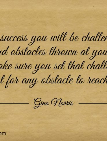 In success you will be challenged ginonorrisquotes