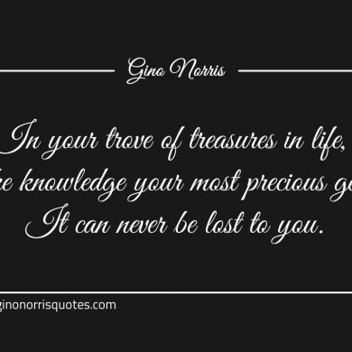 In your trove of treasures in life ginonorrisquotes