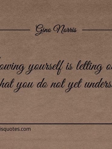 Knowing yourself is letting others do ginonorrisquotes