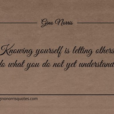 Knowing yourself is letting others do ginonorrisquotes