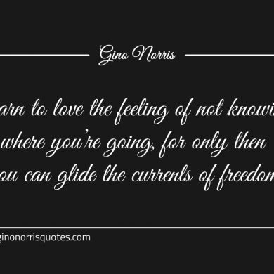 Learn to love the feeling of not knowing ginonorrisquotes