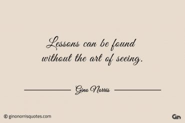 Lessons can be found without the art of seeing ginonorrisquotes