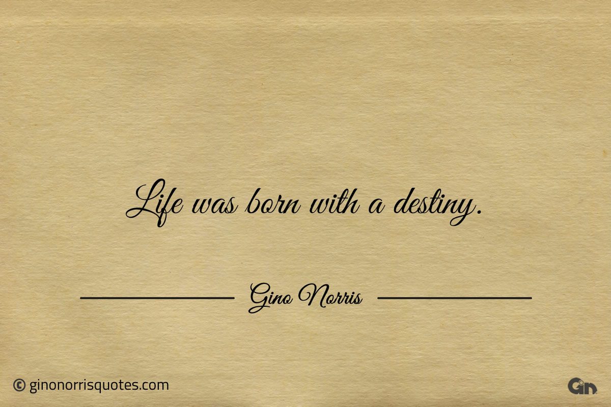 Life was born with a destiny ginonorrisquotes