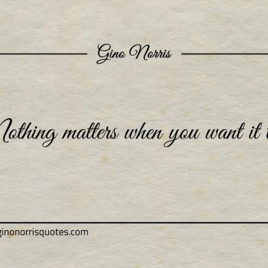 Nothing matters when you want it to ginonorrisquotes