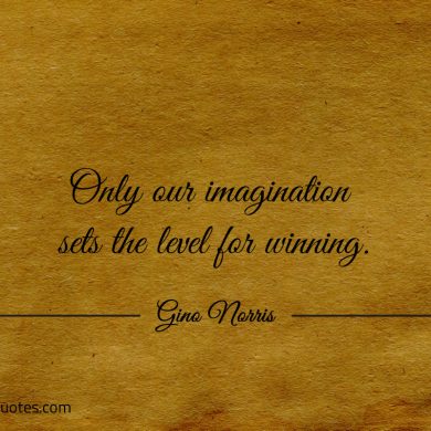 Only our imagination sets the level for winning ginonorrisquotes