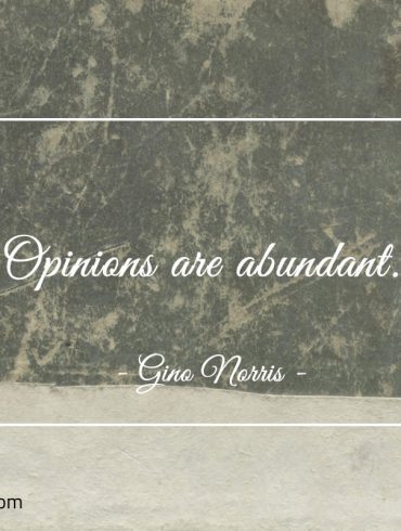 Opinions are abundant ginonorrisquotes