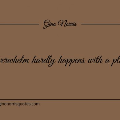 Overwhelm hardly happens with a plan ginonorrisquotes