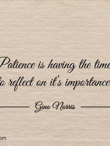 Patience is having the time to reflect ginonorrisquotes