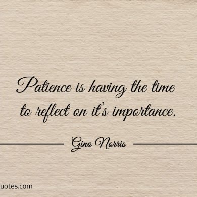 Patience is having the time to reflect ginonorrisquotes