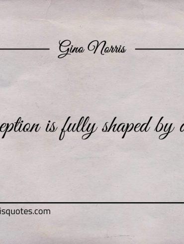 Perception is fully shaped by doubt ginonorrisquotes