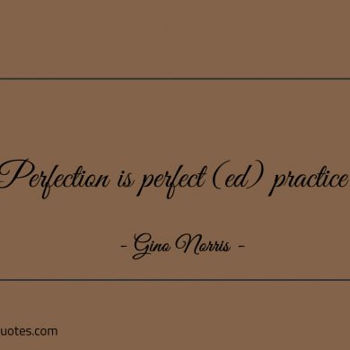 Perfection is perfect ed practice ginonorrisquotes