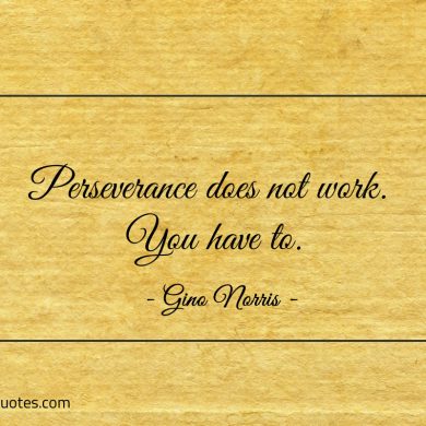 Perseverance does not work You have to ginonorrisquotes