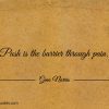 Push is the barrier through pain ginonorrisquotes