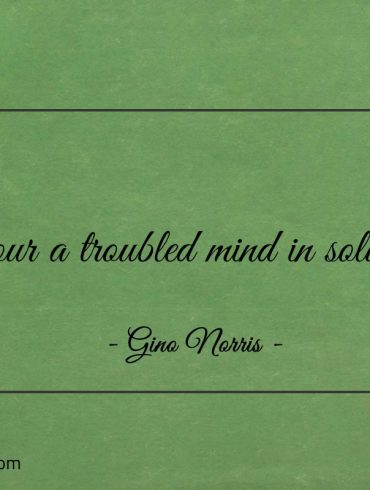 Savour a troubled mind in solutions ginonorrisquotes