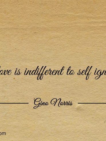 Self love is indifferent to self ignorance ginonorrisquotes