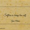 Selfless is being less self ginonorrisquotes