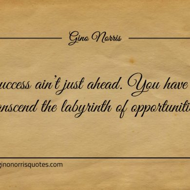 Success aint just ahead ginonorrisquotes