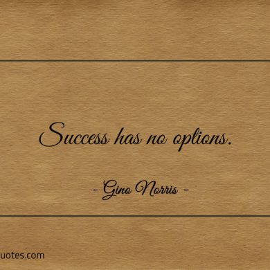 Success has no options ginonorrisquotes