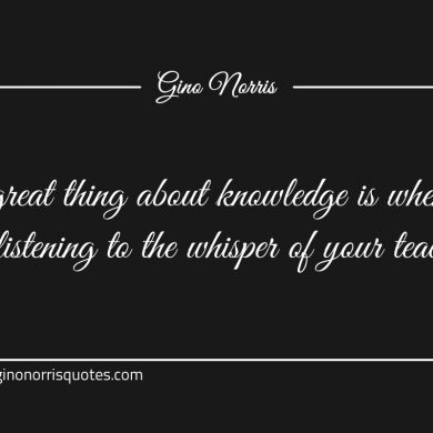 The great thing about knowledge ginonorrisquotes