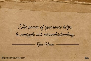 The power of ignorance helps to navigate ginonorrisquotes