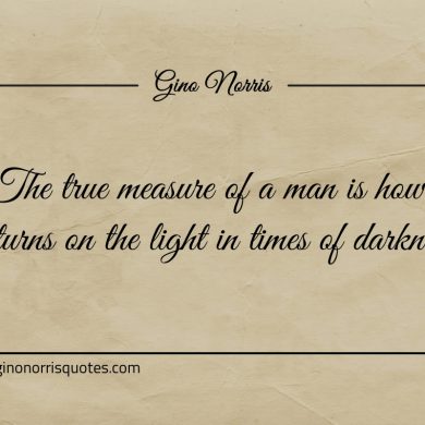 The true measure of a man ginonorrisquotes