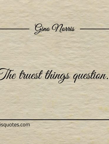 The truest things question ginonorrisquotes