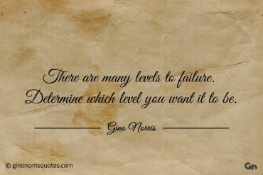 There are many levels to failure ginonorrisquotes