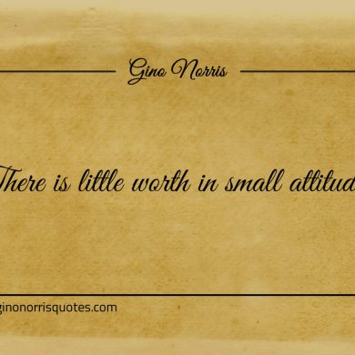 There is little worth in small attitudes ginonorrisquotes