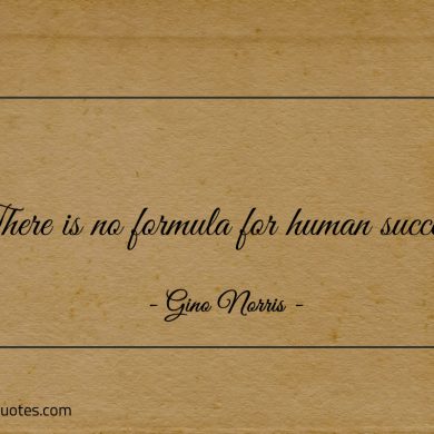 There is no formula for human success ginonorrisquotes