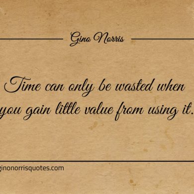 Time can only be wasted ginonorrisquotes