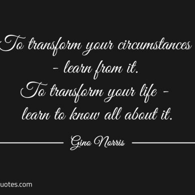 To transform your circumstances ginonorrisquotes