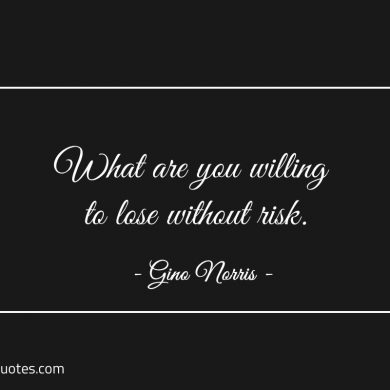 What are you willing to lose without risk ginonorrisquotes