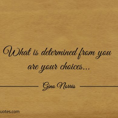 What is determined from you are your choices ginonorrisquotes