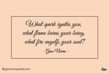 What spark ignites you ginonorrisquotes