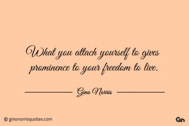 What you attach yourself to gives prominence ginonorrisquotes