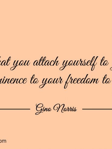 What you attach yourself to gives prominence ginonorrisquotes