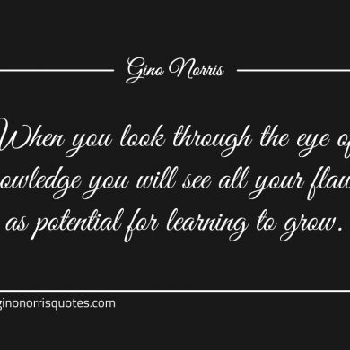 When you look through the eye of knowledge ginonorrisquotes