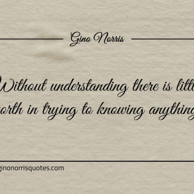 Without understanding there is little worth ginonorrisquotes